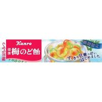 カンロ 100 健康梅のど飴 スティック 11粒 ×10 メーカー直送 | XPRICE Yahoo!店