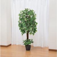 ファミリー・ライフ 光触媒 インテリアグリーン ベンジャミン(04220) メーカー直送 | XPRICE Yahoo!店