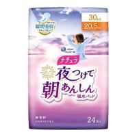 大王製紙 ナチュラ 夜つけて朝あんしん 吸水パッド 20.5cm 30cc 24枚 | XPRICE Yahoo!店