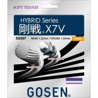 GOSEN (ゴーセン) ソフトテニス用 ガット 剛戦X7V ロイヤルブルー タテ糸1.22mmヨコ糸1.24mm SS507RB | XPRICE Yahoo!店