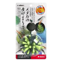 スドー メダカ産卵まり藻 小 マツモ S-5808 | XPRICE Yahoo!店