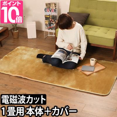 ホットマット enetanpoX エネタンポ シート型ホットマット USB給電 モス