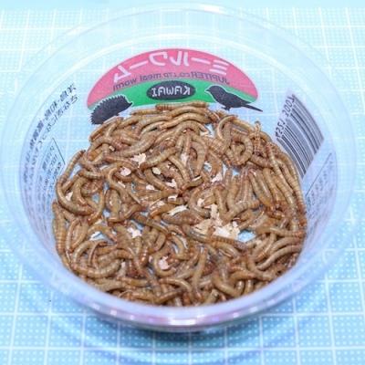ミルワームのおすすめ人気商品一覧 通販 - Yahoo!ショッピング