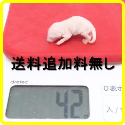 冷凍マウス リタイアのおすすめ人気商品一覧 通販 - Yahoo!ショッピング