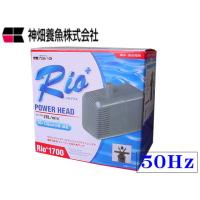 Rio+1700 50Hz リオプラス 水中ポンプ カミハタ | アクアクラフト