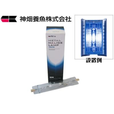 メタハラ150wのおすすめ人気商品一覧 通販 - Yahoo!ショッピング