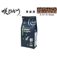 咲ひかり 育成用 浮上 M 5kg キョーリン  錦鯉 鯉餌 成長促進 タンパク質 ひかり菌 総合栄養食 | アクアクラフト