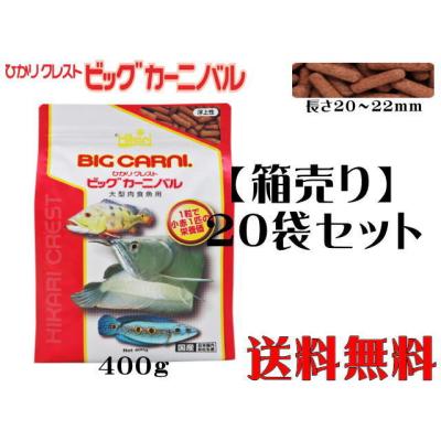 ビッグカーニバルのおすすめ人気商品一覧 通販 - Yahoo!ショッピング