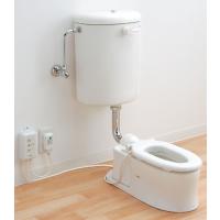 （3〜5歳児向け） TOTO 幼児用腰掛式大便器セット CS300B-TV560Q