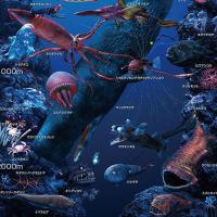 【新品】ジグソーパズル 深海の生物おぼえちゃおう！ 150ラージピース(26x38cm) | アークオンライン Yahoo!店