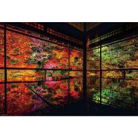 【新品】ジグソーパズル 日本の四季 秋深まる瑠璃光院 1000ピース(49x72cm) | アークオンライン Yahoo!店
