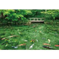 【新品】ジグソーパズル 踊る色彩モネの池-岐阜 500コンパクトピース(26x38cm) | アークオンライン Yahoo!店