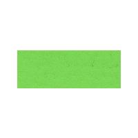 ターナー色彩 ネオカラー （600ml） 4:黄緑 (A) | アークオアシス 2号館 ヤフーショップ