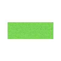 ターナー色彩 ネオカラー （600ml） 4:黄緑 (A) | アークオアシス ヤフーショップ