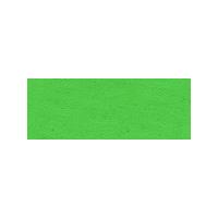 ターナー色彩 イベントカラー スパウトパック （550ml） 4:黄緑 | アークオアシス ヤフーショップ