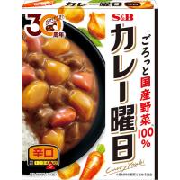 エスビー カレー曜日＜辛口＞ 安い お得 セール 食品 アルコバレーノ(v) | アルコバレーノ