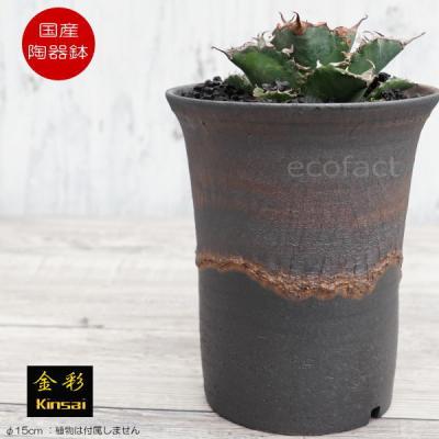 多肉植物 アガベ（植木鉢）｜鉢、プランター｜園芸用品 | 花