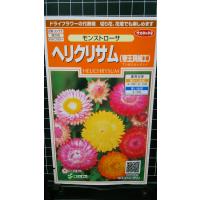 ３袋以上でクーポン割引 ヘリクリサム モンストローサ 帝王 貝細工 かいざいく 種 郵便は送料無料 | きのくに種苗店