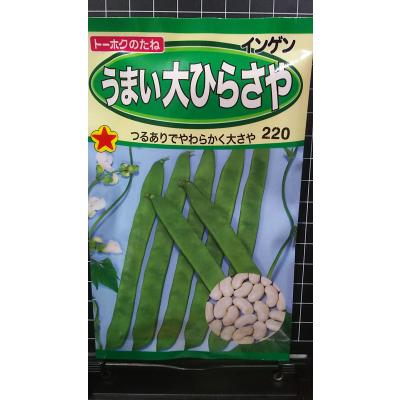 いんげん10キロランキングＡ-B いんげん10キロランキングA-B