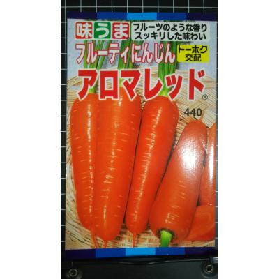 ニンジン 種 アロマレッドのおすすめ人気商品一覧 通販 - Yahoo