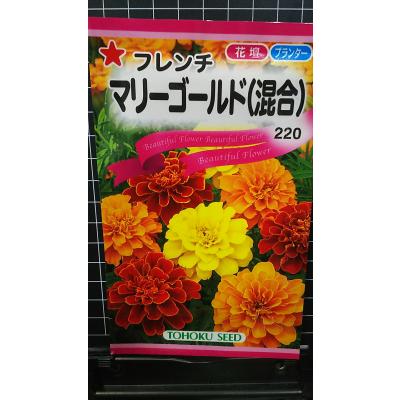 マリーゴールド 種の商品一覧 通販 - Yahoo!ショッピング