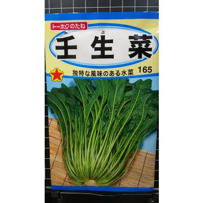 JPS様確認用専用 空芯菜種　ささげ種 JPS様確認用専用 空芯菜種 ささげ種 Amazon | 中国野菜 タキイ