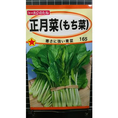 空芯菜（種、種子） | 花、ガーデニング のおすすめ人気商品一覧 通販