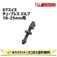 DT SWISS チューブレス バルブ 18-25mm用 VLC05700 自転車 ゆうパケット/ネコポス送料無料 | アリスサイクル Yahoo!店