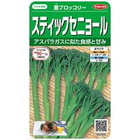 サカタのタネ 実咲野菜2505 スティックセニョール 茎ブロッコリー 00922505 | AROUNDSTORE