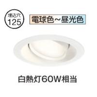 オーデリック ユニバーサルダウンライト OD361245BCR 調光調色 高演色 Bluetooth Φ125 白熱灯60W相当 工事必要 | アートライティング　Yahoo!店