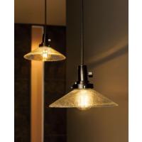 オーデリック ペンダント OP034504LC1 電球色 調光 白熱灯40W相当 | アートライティング　Yahoo!店