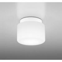 オーデリック 浴室灯 OW009296WR 温白色 高演色 白熱灯60W相当 工事必要 | アートライティング　Yahoo!店