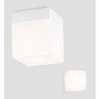 オーデリック 防雨防湿型器具 OW009421LR 電球色 高演色 白熱灯60W相当 工事必要 | アートライティング　Yahoo!店