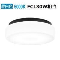 オーデリック 防雨防湿型器具 OW269012NR 昼白色 高演色 FCL30W相当 工事必要 | アートライティング　Yahoo!店