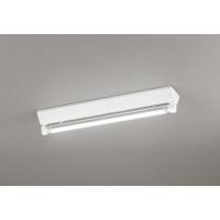 オーデリック 高効率直管形LEDランプ専用ベースライト XL551141R 直付型 昼白色 工事必要 【北海道・東北・九州送料別途】 | アートライティング　Yahoo!店