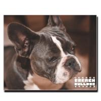 ファブリック ウォール アート キャンバス パネル 絵画 名画