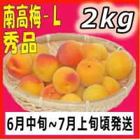 ふるさと和歌山わいわい市場