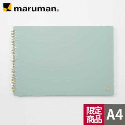限定記念モデル✨Maruman HECT 2020 R-BL 11本 フルセット