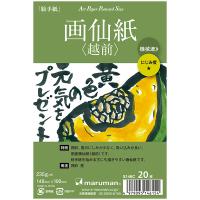 ポストカード 絵手紙 アートペーパー ハガキサイズ 148x100mm 画仙紙 越前 機械漉き 20枚 S146C マルマン (ゆうパケット1点まで) | マルマン公式オンラインショップ