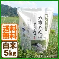 コシヒカリ 白米 5kg コウノトリ育む農法 令和5年産 送料無料 お米 兵庫県産 | あるまま