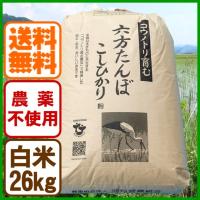 コシヒカリ 白米 26kg 農薬不使用 令和5年産 こうのとり米 送料無料 兵庫県産 | あるまま