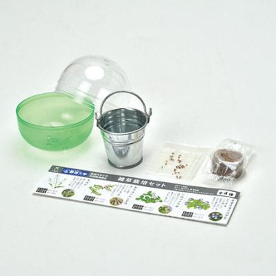 カラスノエンドウのおすすめ人気商品一覧 通販 - Yahoo!ショッピング