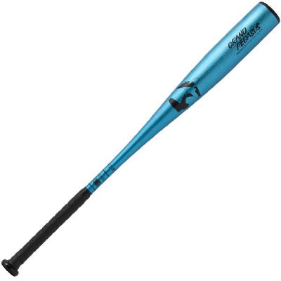 中学硬式バット（ワールドペガサス）のおすすめ人気商品一覧 通販
