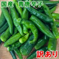 熊本県あさぎり町産 辛口 青唐辛子1kg 1000g へた無し 国産 品種 朝鮮なんばん Aotougarashi01 熊本名物本舗あさぎり物産館 通販 Yahoo ショッピング