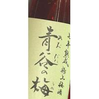 梅酒 青谷の梅 あおたにのうめ 七年熟成極上梅酒1800ml 京都府 城陽酒造 | 朝日屋酒店 ヤフー店