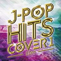 [メール便OK]【訳あり新品】【CD】EDM J-POP HITS COVER 2[お取寄せ品] | 浅草マッハ