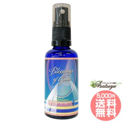 ヒマラヤン フラワー エンハンサーズのおすすめ人気商品一覧 通販