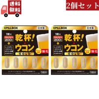 2個セット ピルボックスジャパン PILLBOX JAPAN 乾杯 ウコン GOLD 5粒 | しあわせ生活館ヤフーショッピング店