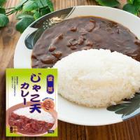 ご当地カレー　レトルトカレー 愛媛 じゃこ天カレー 中辛  １人前 200ｇ