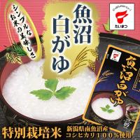 魚沼白がゆ250ｇ(たいまつ食品) 健康志向のレトルト食品 おかゆ 新潟県産こしひかり | 自然派ストア Sakura